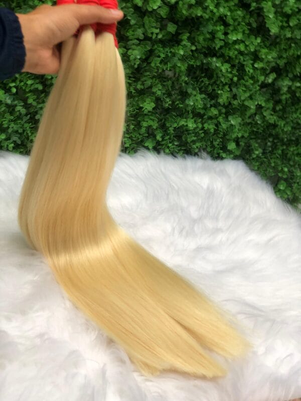 Cabelo Vietnamita Loiro 65cm - Imagem 4